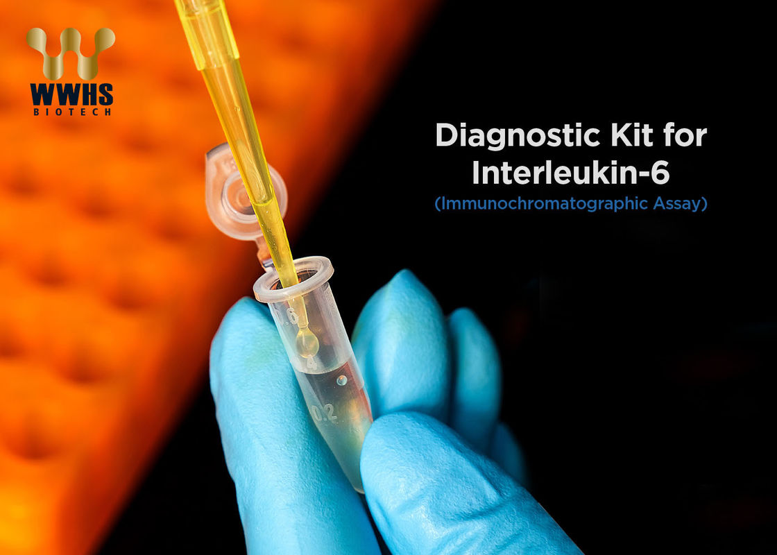 IL-6 snelle Medische uitrusting Één van Ce FDA van Testkit ifa IVD Stappcr Antigeen Snelle Kenmerkend